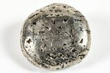 1.8" Polished Pyrite Pocket Stones  - Photo 2